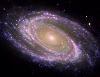 Galaxie M 81